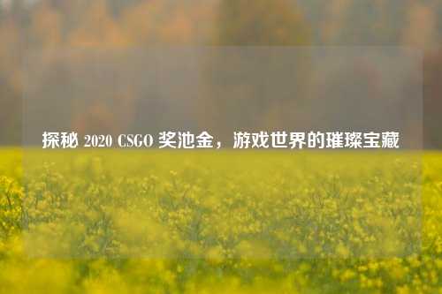探秘 2020 CSGO 奖池金,游戏世界的璀璨宝藏