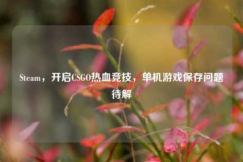 Steam,开启CSGO热血竞技,单机游戏保存问题待解