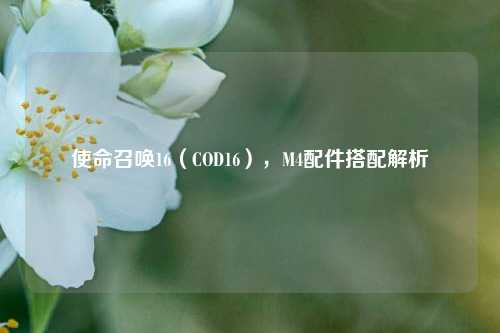 使命召唤16(COD16),M4配件搭配解析