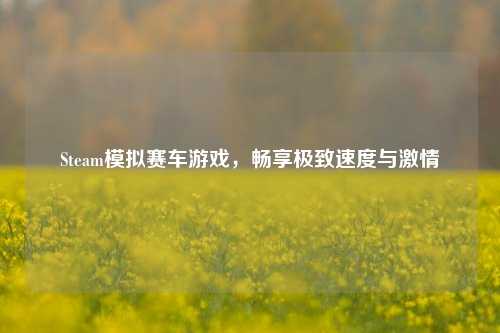 Steam模拟赛车游戏,畅享极致速度与激情