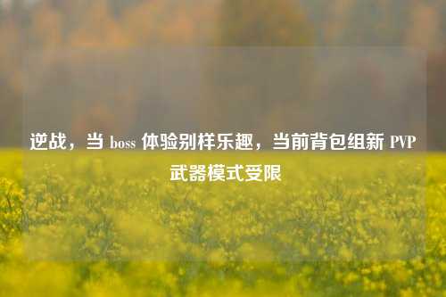 逆战,当 boss 体验别样乐趣,当前背包组新 PVP 武器模式受限