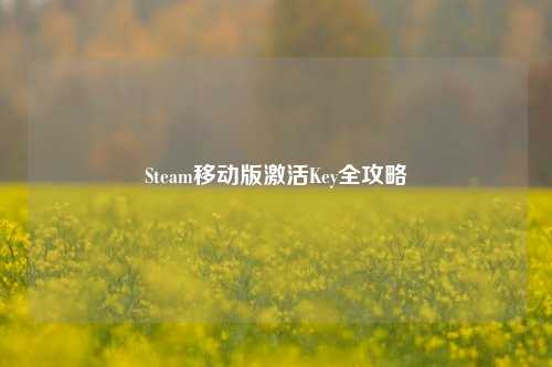 Steam移动版激活Key全攻略