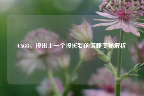 CSGO，投出上一个投掷物的策略奥秘解析