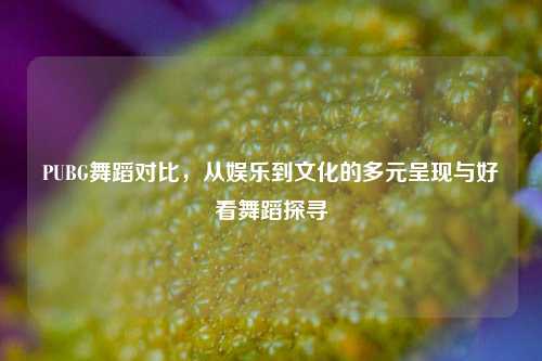 PUBG舞蹈对比，从娱乐到文化的多元呈现与好看舞蹈探寻