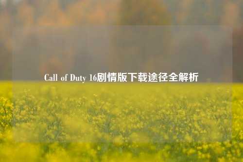 Call of Duty 16剧情版下载途径全解析
