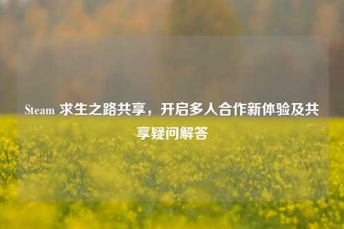 Steam 求生之路共享,开启多人合作新体验及共享疑问解答