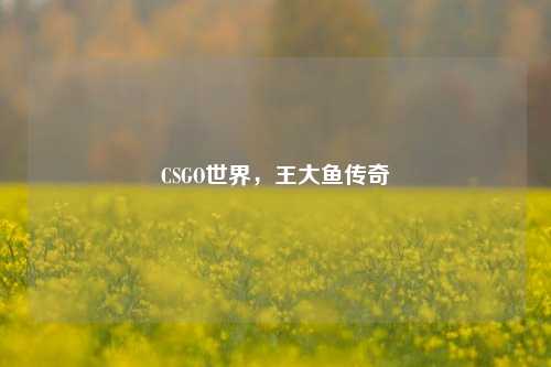 CSGO世界,王大鱼传奇