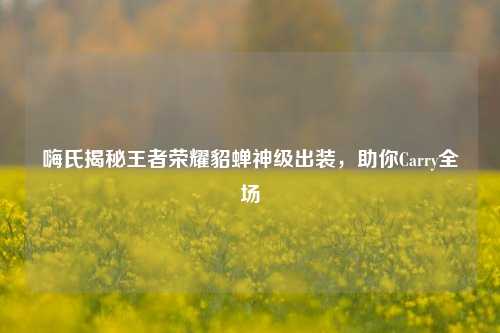 嗨氏揭秘王者荣耀貂蝉神级出装,助你Carry全场