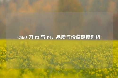 CSGO 刀 P3 与 P4,品质与价值深度剖析