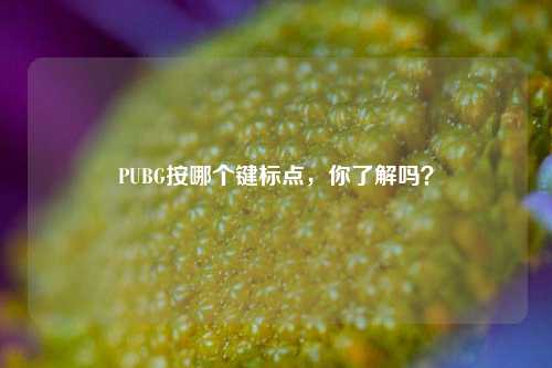 PUBG按哪个键标点,你了解吗?