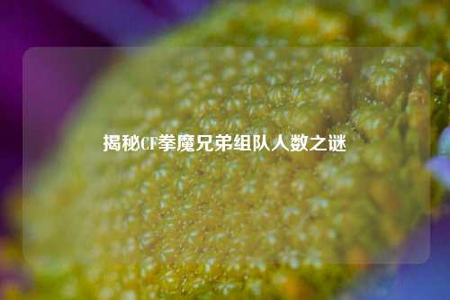 揭秘CF拳魔兄弟组队人数之谜