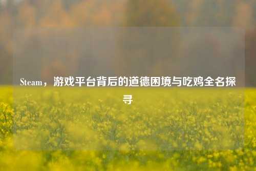 Steam,游戏平台背后的道德困境与吃鸡全名探寻