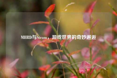 MHRD与Steam,游戏世界的奇妙邂逅