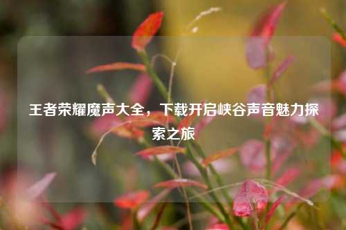 王者荣耀魔声大全,下载开启峡谷声音魅力探索之旅