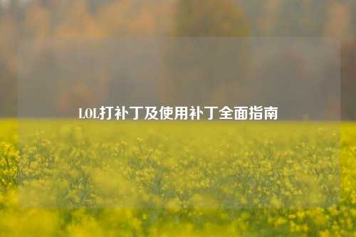 LOL打补丁及使用补丁全面指南
