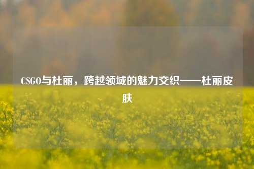 CSGO与杜丽,跨越领域的魅力交织——杜丽皮肤