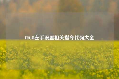 CSGO左手设置相关指令代码大全