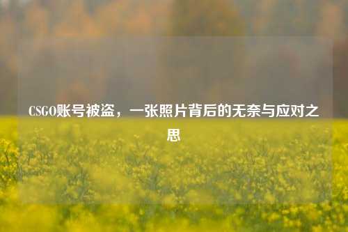 CSGO账号被盗,一张照片背后的无奈与应对之思