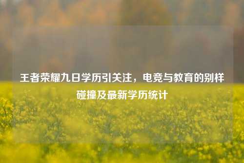 王者荣耀九日学历引关注,电竞与教育的别样碰撞及最新学历统计