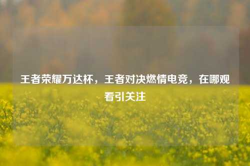 王者荣耀万达杯,王者对决燃情电竞,在哪观看引关注