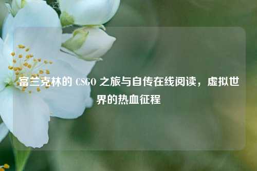 富兰克林的 CSGO 之旅与自传在线阅读,虚拟世界的热血征程