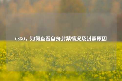 CSGO,如何查看自身封禁情况及封禁原因